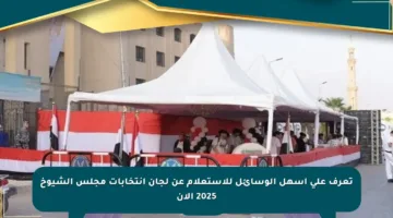 تعرف على أسهل الوسائل للاستعلام عن لجان انتخابات مجلس الشيوخ 2025 الآن
